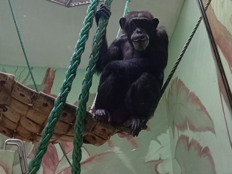 ZOO Hodonín
