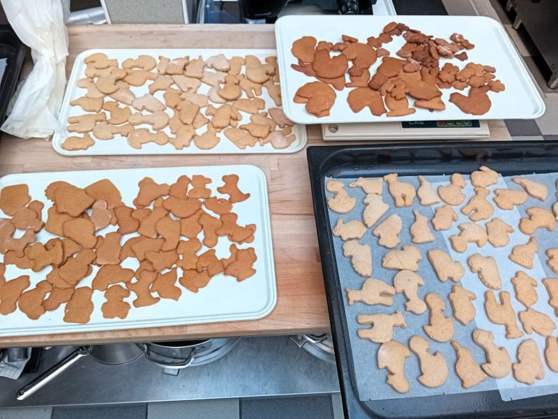 Pečení perníčků